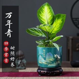 �f���������k���҃����՚�Gֲ�����҃Ⱥ��B��ֲ���y�ʺ��ļ��^�~