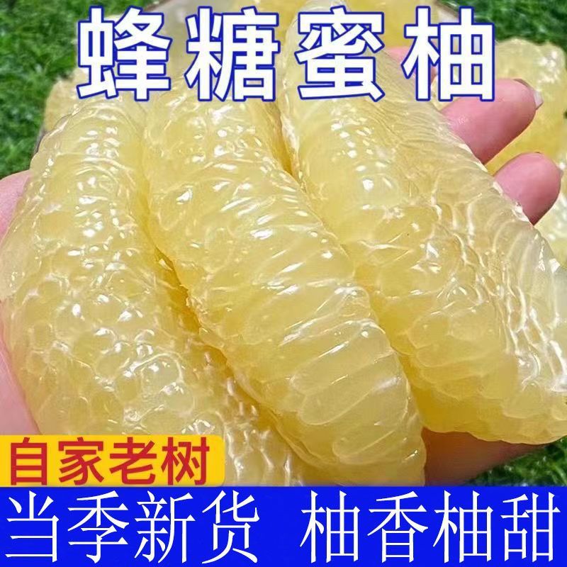 白心蜜柚当季新鲜水果福建白柚子农家果园比红柚好吃