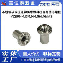 ���P䓉��q�T��ˮ��ĸ��ä�׈A������YZBRN-M3M4/M5/M6M8���d��׼