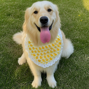 ���ﹷ��ˮ����С�д���Ȯ�����_ĦҮ�ɐ۽�ë��ʿ�氢��˹�Ӈ���