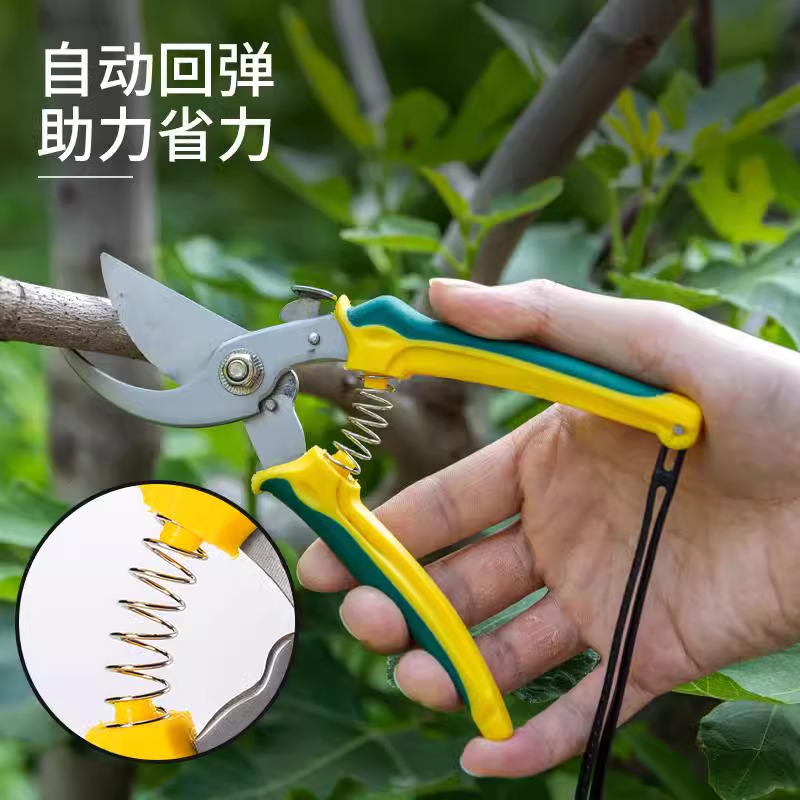 跨境园艺修枝剪刀不锈钢果园粗枝剪便携手绳园林花艺修树枝专用剪