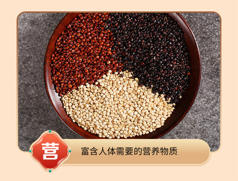 Cooked Tri-Color Quinoa 500g Bag Low Temperature Roasted Ready to Cook Grain for Salads Porridge and Bowls in use