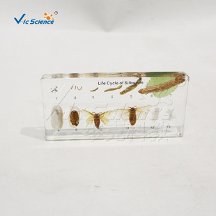 �̌W��ɣ�Q����ʷ�˱� ���Q���L�l���^�� �WУ����ҿ�������