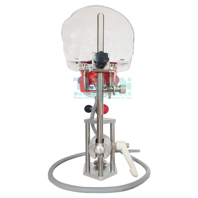 Modelo dental oral de enseñanza, clip de diente, tabla de preparación endodoncia, materiales dentales