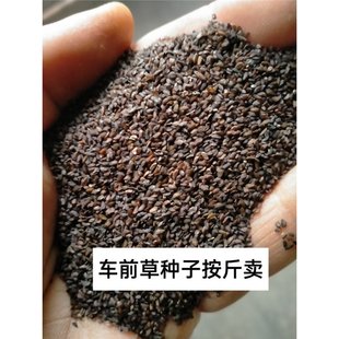 ܇ǰݷNӰuȻҰ܇ǰ܇ǰӲ܇ǰѴ܇ǰ