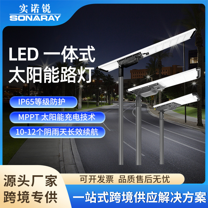 Cross-Border Integrated Solar Street Light 6m New Rural High-Power Municipal Engineering Intelligent Sensor Garden Light
