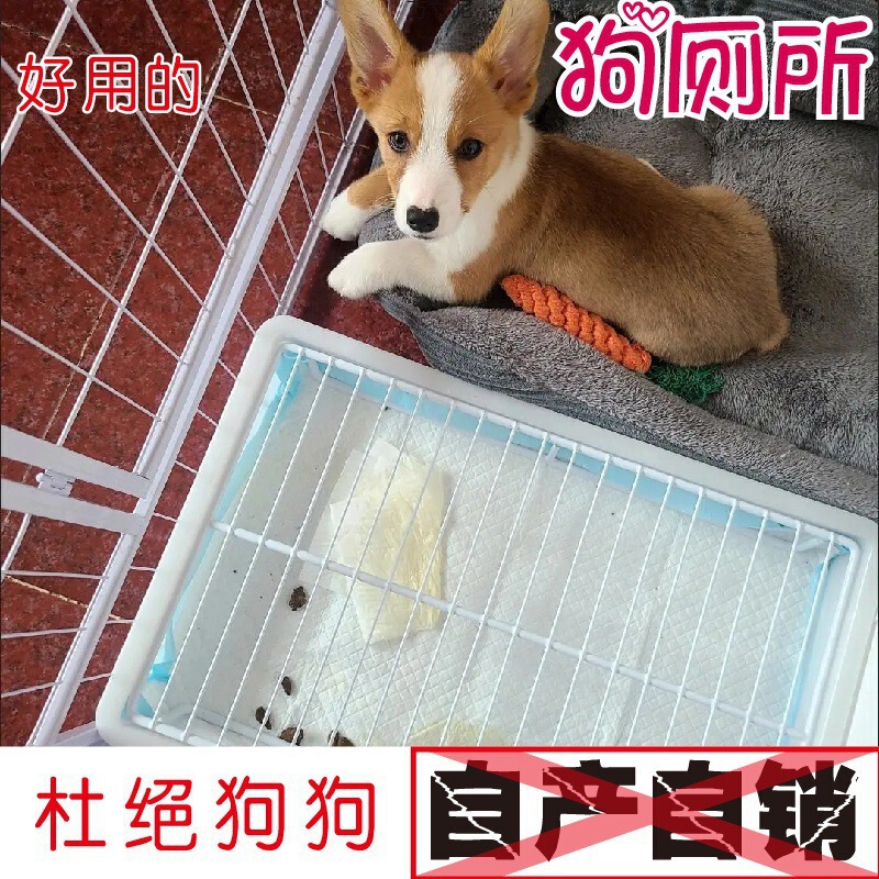犬用トイレ屋内犬用トイレ踏みつけ防止特大高さ棚ステンレス鋼中小型犬ペットトイレ工場|undefined