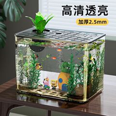 鱼缸水族箱客厅桌面造景室内落地式网红一体成型缸透明办公室家用