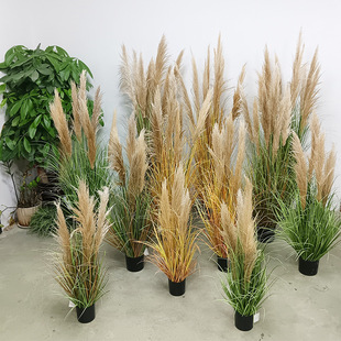 �����JȔ���l���^�ݔ[���҃�����b���������쾰��Y��ֲ������