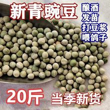 2022�¾G�㶹���㶹���Z20��5������σ��|�����㶹�����^�p��