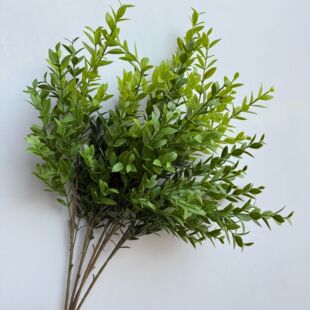 �����S���~ ���m�~ �����~��֦�쾰�b廨ֲ���cɭϵ�쾰�b�