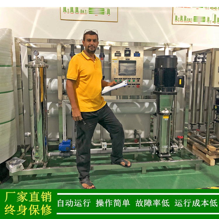 供应佛山水处理设备食品生产反渗透纯净水处理设备5t反渗透纯水机
