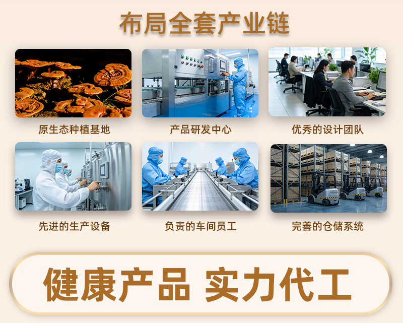 Reishi Mushroom Spore Powder 100g Changbai Mountain Lingzhi Spore Powder for Daily Wellness overview