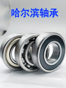 �����I������S��6300 301 302 303 304 305 306 307 308/ZZ/2RZ