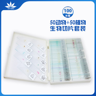 Red Leaf Teaching Instrument 50 Plant + 50 Animal Specimen Set 100 Animal and Plant Biological Slices Set
