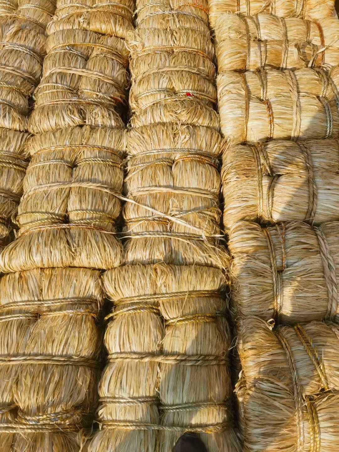 微信图片_20241014093232