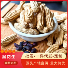 农科院云南富硒黑花生带壳2025年新货新鲜原味黑花生米产地批发