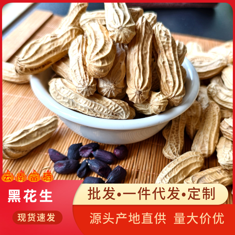 农科院云南富硒黑花生带壳2025年新货新鲜原味黑花生米产地批发