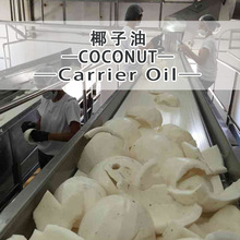 �����eҬ����ԭ�����lcoconut oilҬ��ֲ���� �҂��ṩԭ�a���C