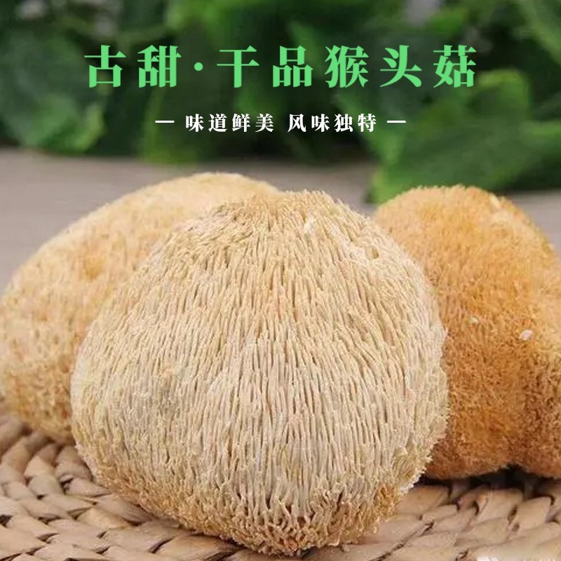 古甜 干品猴头菇（整个）清水猴头菇 冷冻猴头菇 可做不同规格