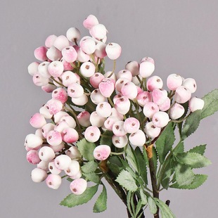 �������Ұ�{����Ʒ�|�b٘�֦��辎�˪Ұ�����շ��滨�{ݮ����