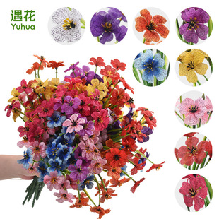 �羳��洺�����_�m���滨�Ҿӻ�c�����b߷������ϻ�����Gֲ