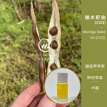 ��ľ���� ���R��CO2��ȡ ��Ħ�o�w����