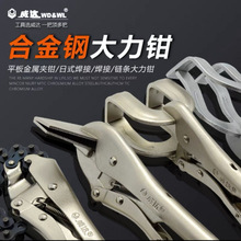 ����ƽ�������ǯ����ǯ���Ӵ���ǯ����ǯ�ӱ������ǯ�̶���ǯ