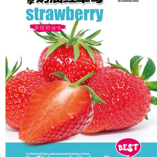 四季奶油红草莓种子水果地莓种籽多年生田园阳台盆栽春秋季可播种