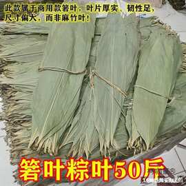 厂家野生干粽叶粽子叶端午包粽子粽叶批发斤商用端午野生大麦太保