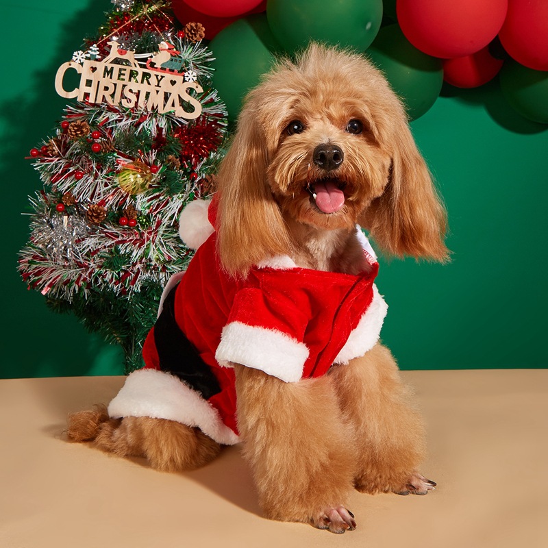 Pet autumn and winter clothes for dogs red festive Christmas transformation outfit Teddy bear panda small dog skirt_voghion.com
