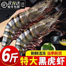 �ڻ��r�����ش�̖�ϻ��r�r�����r�Ź��r�����r������S���]��