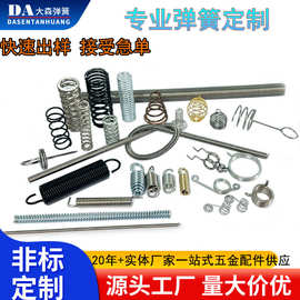 五金弹簧非标定制 压簧拉簧扭簧线成型触摸弹簧 s钩 提手折弯加工