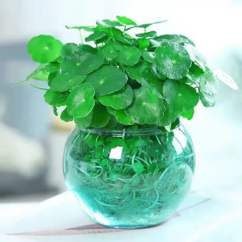 25f1e47e-4ec8-4180-ac57-b8d8e8eea974.jpe