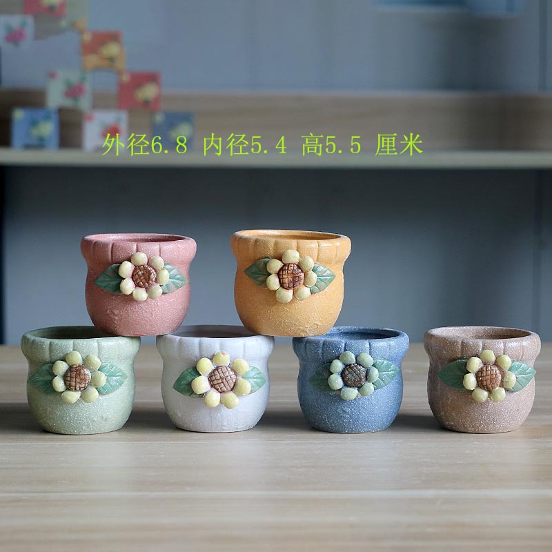 圆口太阳花.jpg-1