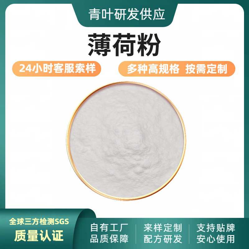 Mint Powder Extract Plant Water-Soluble Powder in Stock Bio-Food Grade Raw Material Small Molecule Peptide Powder