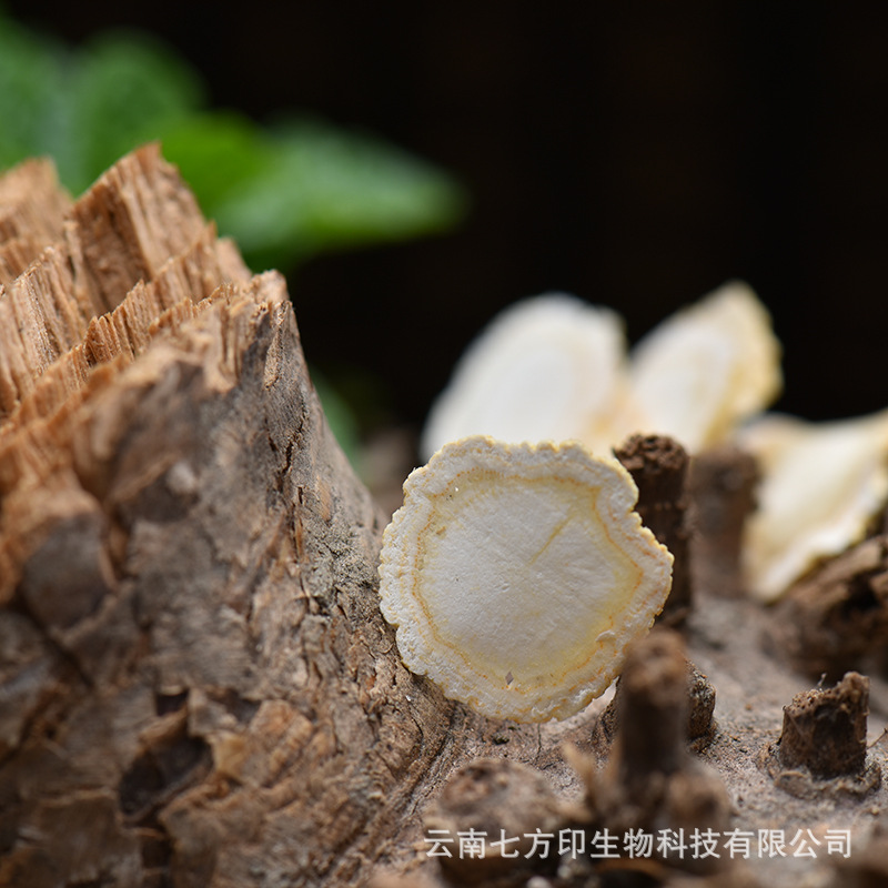American Ginseng Root Slices Gift Box Changbai Mountain Xi Yang Shen 90g Large Slices preparation