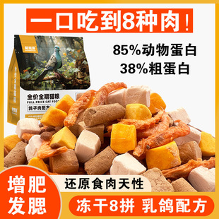 Freeze-Dried Multi-Flavor Cat Food, High Protein, High Nutrition, Grain-Free Fresh Meat, Pigeon Formula, Fattening and Gill Development, Universal for Adult Cats and Kittens
