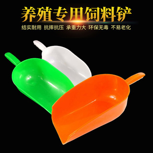 �S�����l����P�϶�ι�i������������P������ư�P�@���ϼӺ����