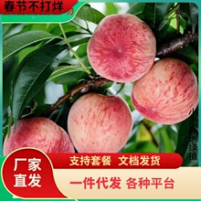 һ�����l����ˮ���Ҙ���޽��S�Ҙ��m�䮔��Y���Ϸ������Nֲ����