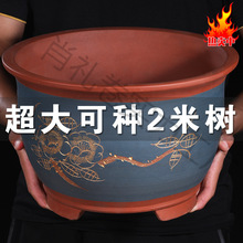 2025¿ش̖ɰ߻Ͳմɻ̖̎Sl