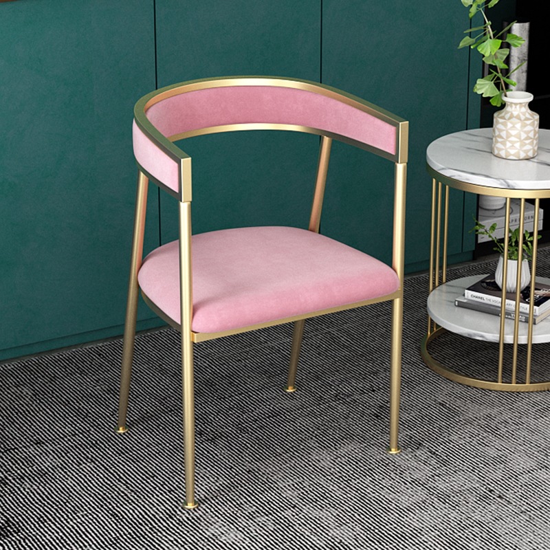 Nordic Light luxury chair home with back chair modern minimalist chair casual stool INS network red restaurant chair
