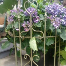 外贸亚马逊爆款别墅庭院铁艺复古半圆心形爬藤架民宿花园攀爬架