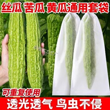 苦瓜套袋瓜果防虫袋防鸟针蜂果蝇网袋包黄瓜丝瓜青瓜果套袋保护套