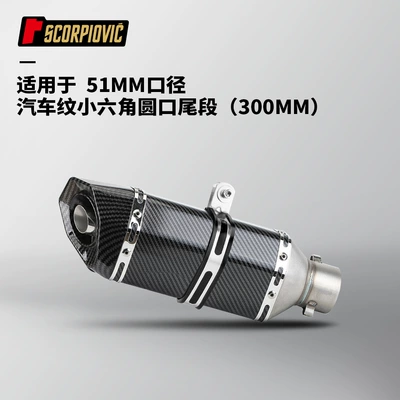 NINJA400 GSX250 CBR650 R3 — Motorcycle exhaust pipe - fully-imitation-carbon-fiber-small-hexagonal-300mm-round-tail