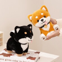 �羳�¿����˲�Ȯ�ڲ�����żС��ë�q���������ރ�ͯ�Y��