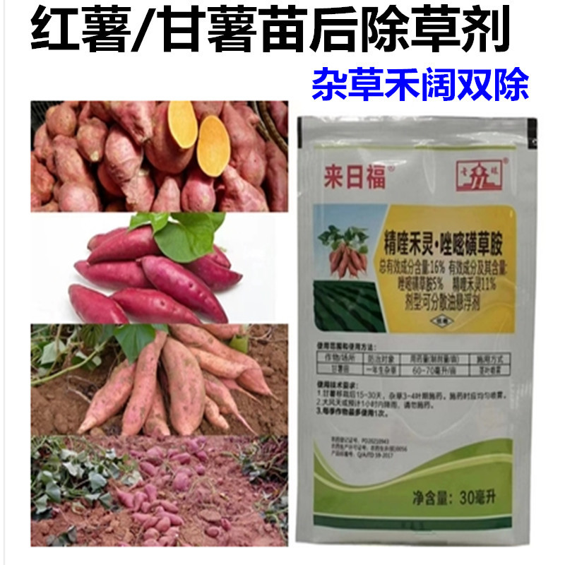 来日福甘薯红薯除草剂16%精喹禾灵 唑嘧磺草胺地瓜田苗后杂草农药