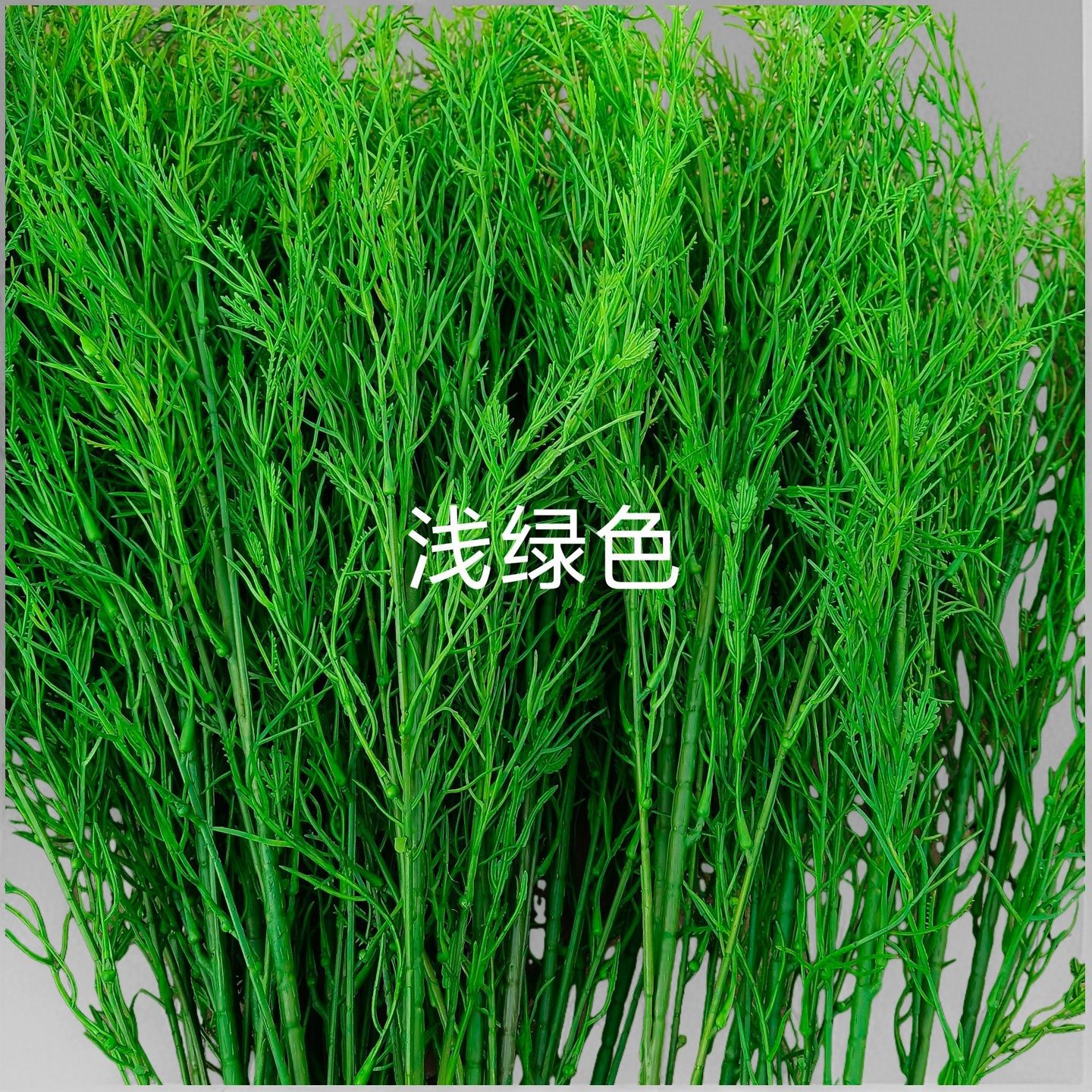밝은 녹색