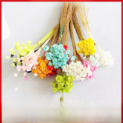Small daisy everlasting flower DIY materials dried small flower bouquet home floral arrangement artistic fresh daisy decoration soft furnishings