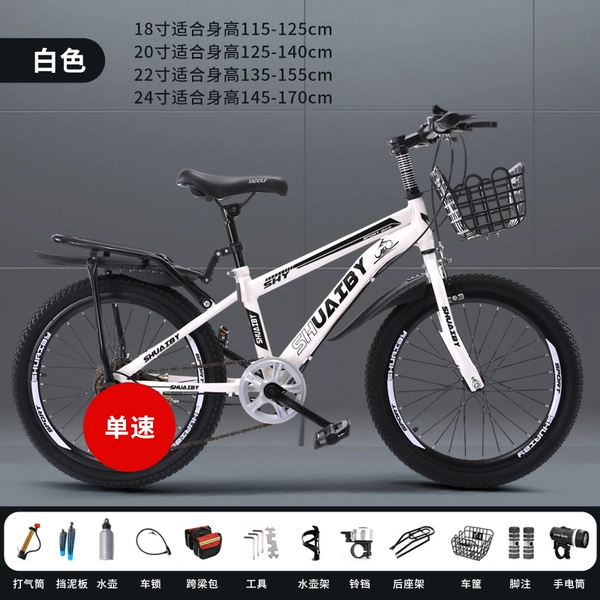 White and black [single speed] luxury + car basket + rear seat